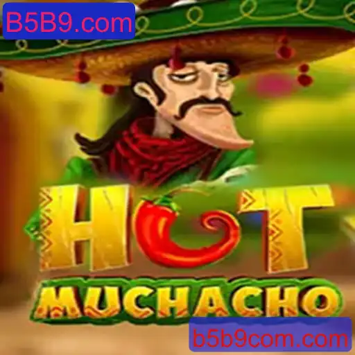 Descubra as Emoções do Jogo HotMuchacho